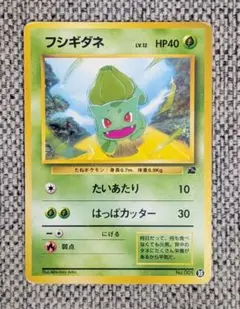 ⭐️希少⭐️フシギダネ イントロパック 旧裏