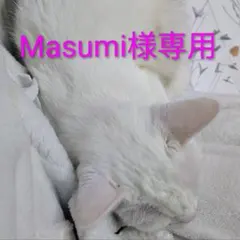 Masumi様専用