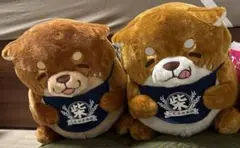 忠犬もちしばまんぷく超BIG 2匹セット