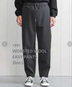 <H> WORSTED WOOL EASY PANTS/パンツ [L]