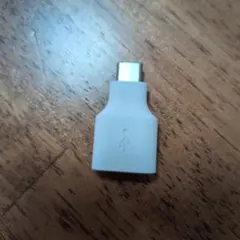 USB Type-C 変換アダプター ホワイト