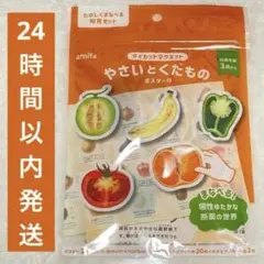 【新品未開封】知育 マグネット やさいとくだもの ポスター 断面 知育玩具