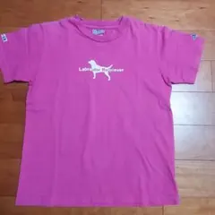Labrador Retriever ピンク Tシャツ Mサイズのサムネイル