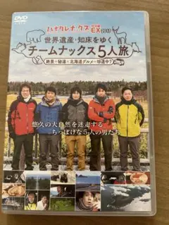 ハナタレナックス特別編EX 2017 チームナックス5人旅 DVD