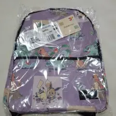 新品 未開封 ポケットモンスタープラチナムザッカリュック　カントー地方　ポケモン