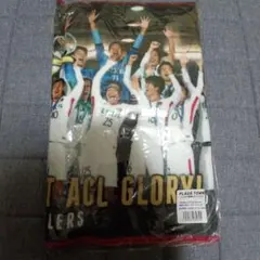 ACL2018優勝記念タオル