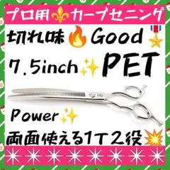 Item thumbnail for item 84b9def3-400d-4262-9b83-a2647ac74a67