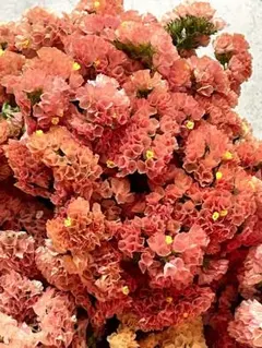 rara様 リクエスト 2点 まとめ商品