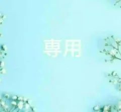 美品　セントジェームス　ドロップショルダー　生成り　t3 SM