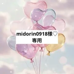 midorin0918様 リクエスト 5点 まとめ商品