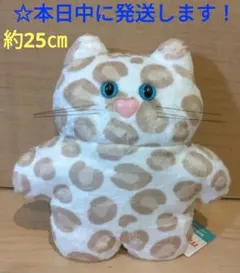 【 mojojojo　BIGぬいぐるみ 4 『 ネコ 』】