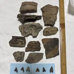 20.宮城県亘理郡亘理町出土 土器、石器、骨角器 - メルカリ