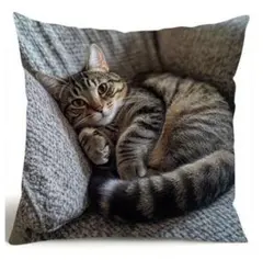 Item thumbnail for item bc068dd5-d82d-4b57-ae13-e18c3a3182aa