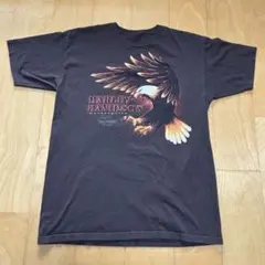 2012 ハーレーダビッドソン　Tシャツ イーグル　クラシックロゴ　ウィング　茶