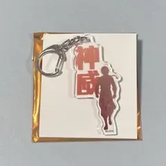 銀魂 吉原大炎上 神威 ランダムお名前キーホルダー