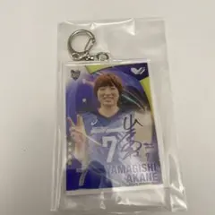 埼玉上尾メディックスバレーボール サイン入り+アクキー＋缶バッチ＋アクスタ 埼玉上尾メディックスバレーボール サイン入り+アクキー＋缶