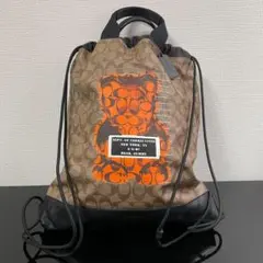 COACH リュック シグネチャー ビー ハチ柄 - メルカリ