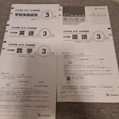 2025年度 第1回 学力推移調査 中3 4月 ベネッセのサムネイル