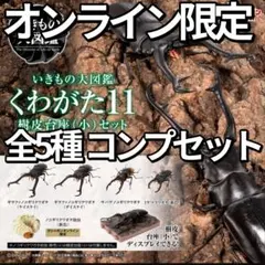 オンライン限定 くわがた11 樹皮台座（小）セット 全5種コンプのサムネイル
