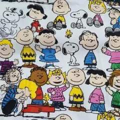 Item thumbnail for item 9db5fdd4-60a5-421b-8f14-8f16ca0e519b