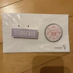 seventeen セブチ　スングァン　バッジセット