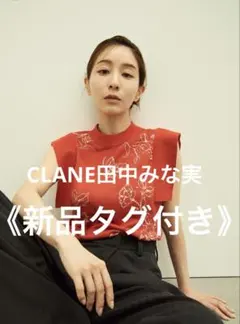 田中みな実 ニット