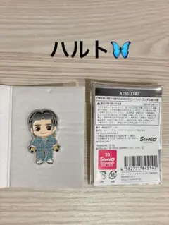TREASURE はぴだんぶい ピンバッジ ハルト
