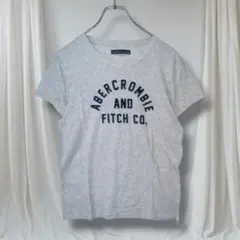 Abercrombie&Fitch 半袖Tシャツ ロゴプリント Lサイズ 春夏のサムネイル