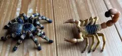 タランチュラ サソリ フィギュア 2体セット　シュライヒ