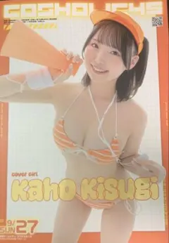 新品 コスホリック45 パンフレット コスホリ 9月27日版 来生かほ