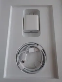 Apple純正　USB-C充電ケーブルと20W充電器セット