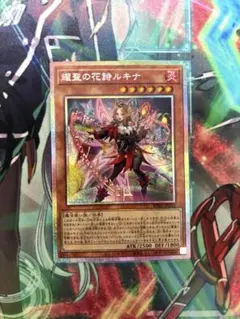 耀聖の花詩ルキナ　プリズマティックシークレット　日版 耀聖の花詩ルキナ | プリズマティックシークレット | ドラゴンスター
