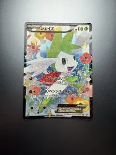 シャイニーコレクション