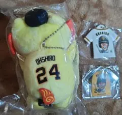 2025年最新】オオシーサー 肩乗りの人気アイテム - メルカリ