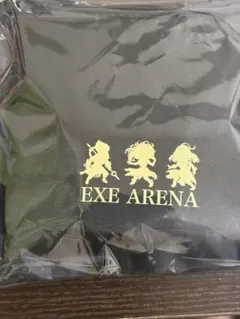 EXE ARENA メッシュマイバッグ S ブラック