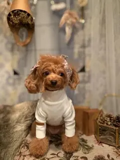 【新品未使用Lサイズです】 かわいいハイネックリブTシャツです。