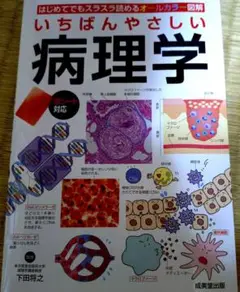【新品】いちばんやさしい 病理学