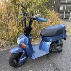 2025年最新】ホンダ スカッシュ 車体の人気アイテム - メルカリ