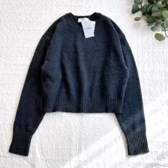 新品 2024 スローブイエナ echecs クルーネックプルオーバー 手洗い可