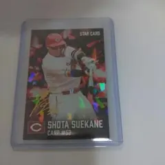 プロ野球チップスカード