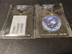 MTG マジックザギャザリング アクリルキーチェーン リリアナ - メルカリ