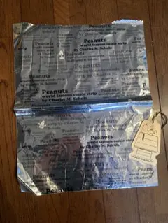 Item thumbnail for item 99ec0acf-56a4-4eec-97c2-584fe6672e9e