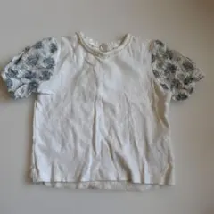 cottoli バースデイ