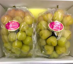 山梨県産 訳あり 家庭用 ぶどう マイハート 4房 箱込み2.6kg ⑤ - メルカリ