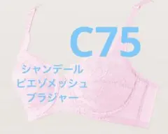 新品未使用シャンデールピエゾメッシュ（ベル）ブラジャーD70 シャンデール ベル(ピエゾメッシュ) | 補整下着メーカー 株式会社