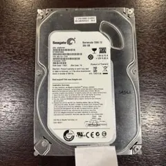 Seagate Barracuda 7200.12 250GB HDD