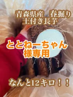 ととねーちゃん様専用①青森県産　土付き 長芋12キロ　泥付き　ながいも　山芋