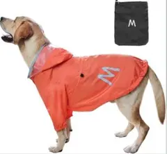 Item thumbnail for item 50196cf5-9861-4b12-88bf-fca82f0d1aba