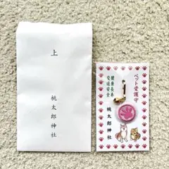 Item thumbnail for item 400e2b41-ff47-45fd-b461-be6aa5b5c32e