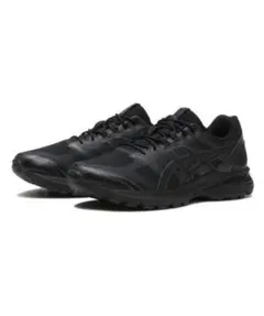 asics GEL-TERRAIN 24.5cm
